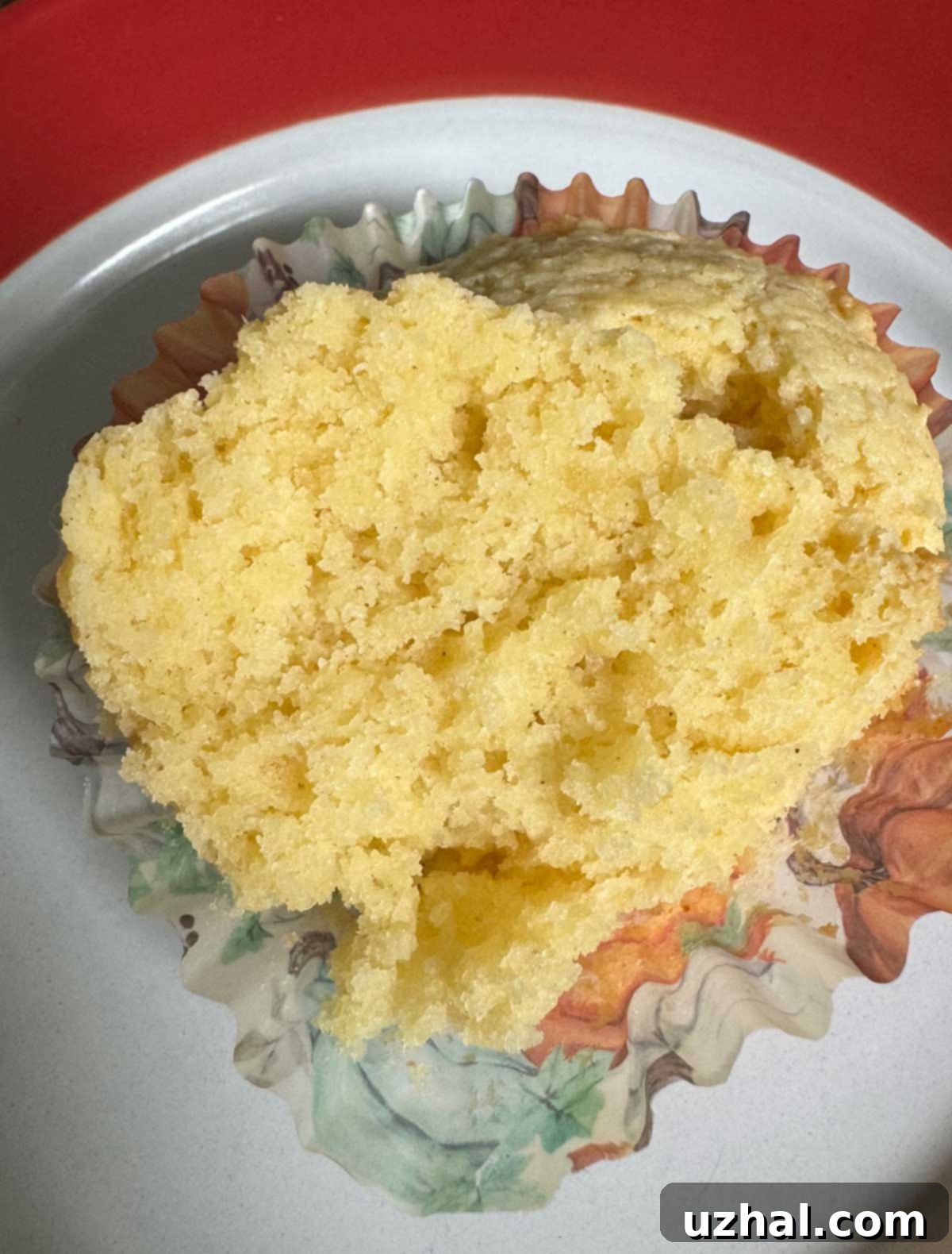 Texture of a gluten-free easy vanilla cupcake
