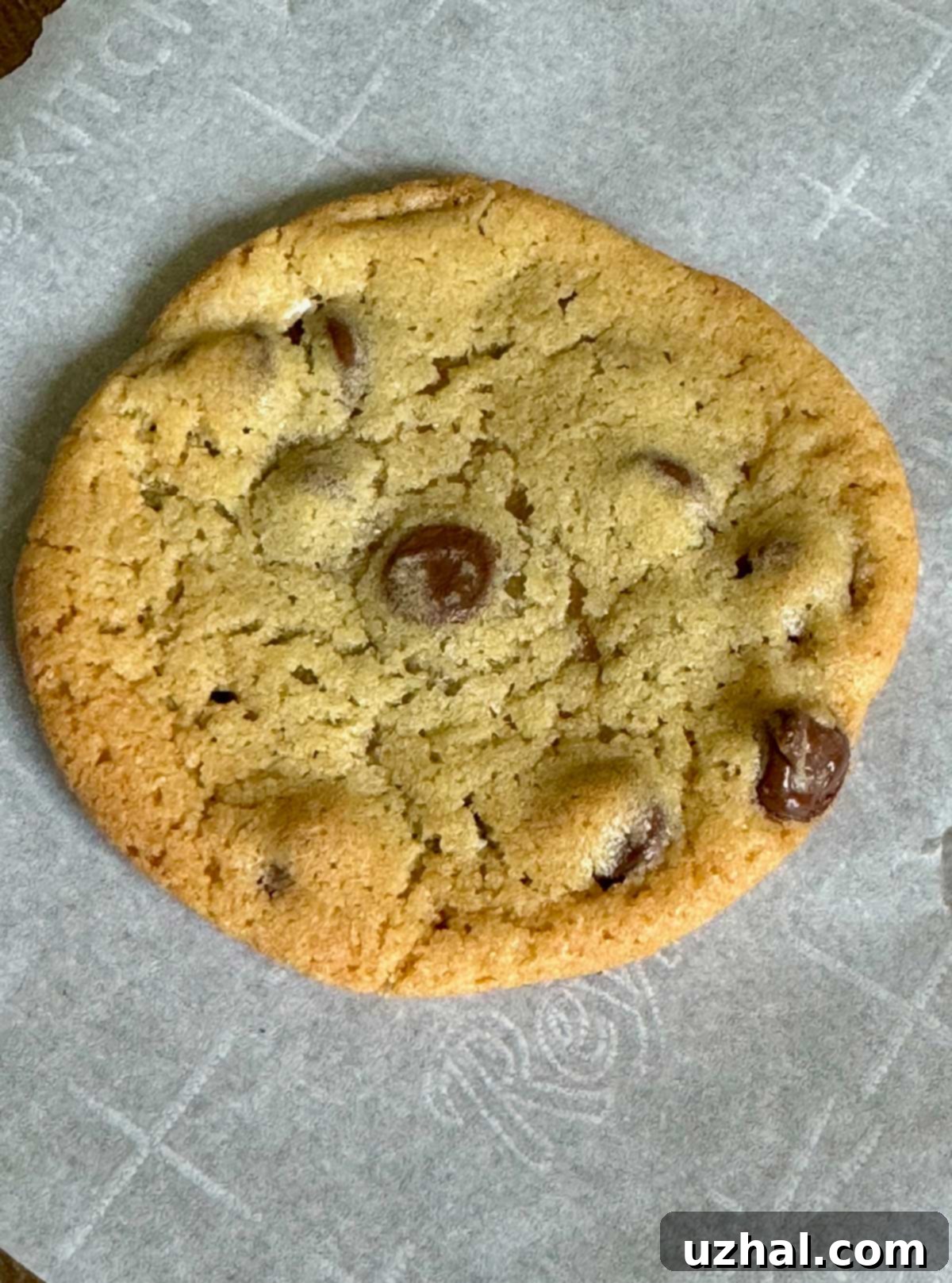 Killer Chocolate Chip Cookies baked on a stone