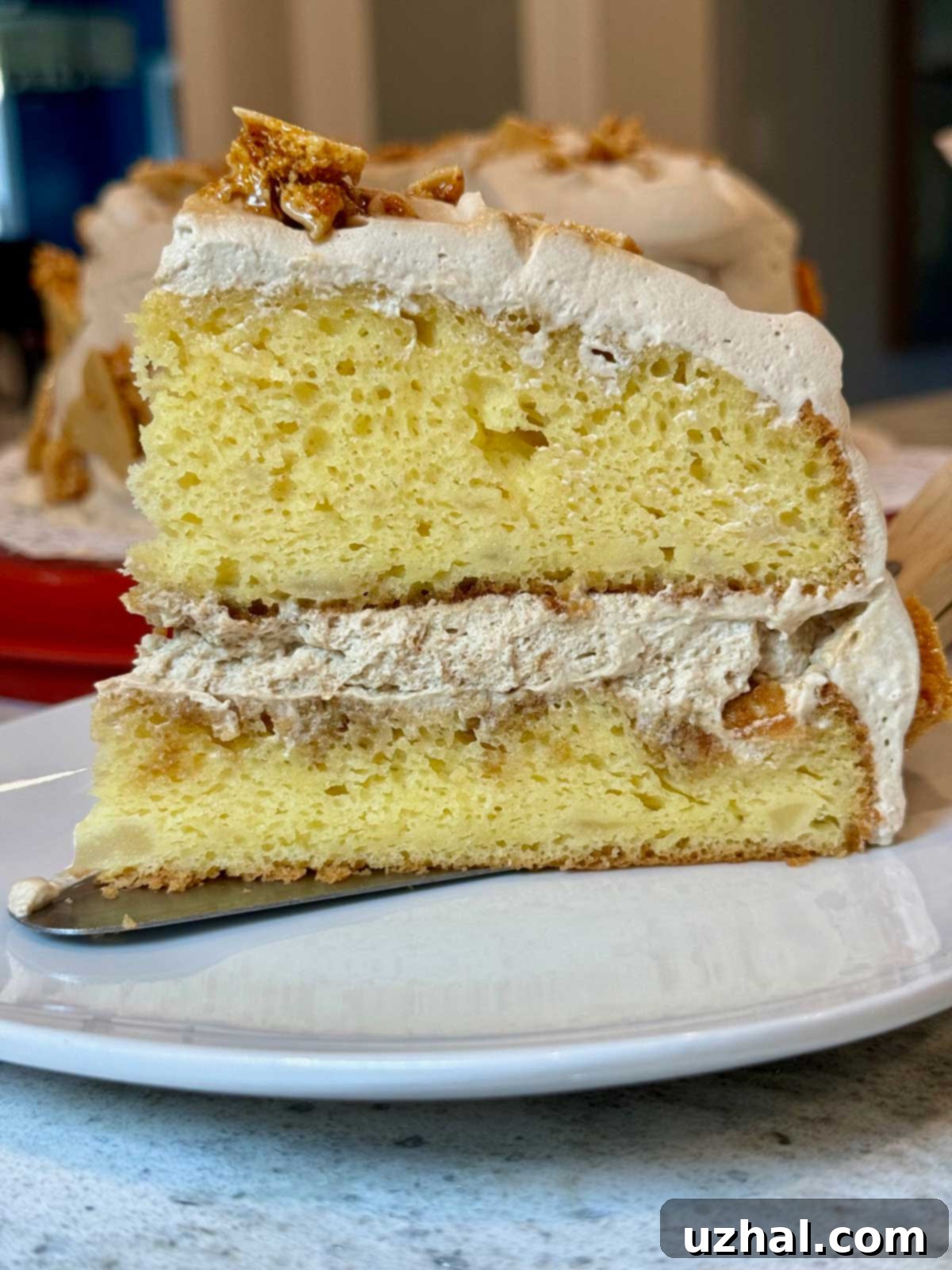 A beautiful slice of homemade Blum's Coffee Crunch Cake Copycat, showcasing its layers and crunchy topping.