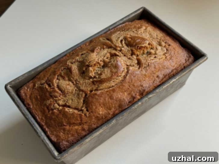 Loaf of quick bread cooling in a loaf pan.
