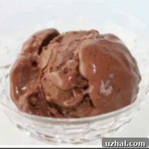 Chocolate ice cream made with Marshmallow Fluff