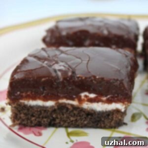 Marshmallow Fudge Bars recipe