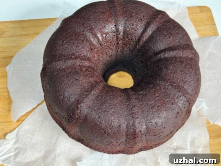 An unfrosted Pillsbury Bake-off Coconut Ring Cake