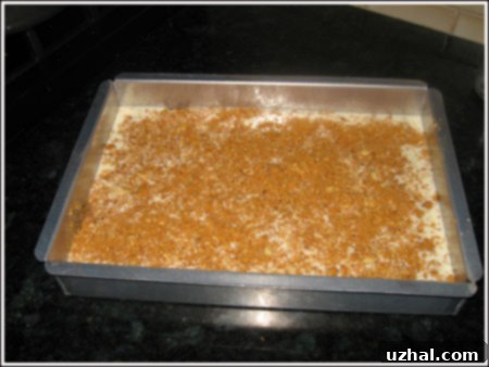 Irresistible Butterscotch Cheesecake Bars baked in a 13x9 pan