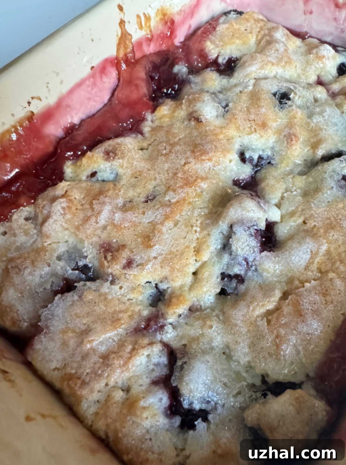 A golden-brown Shiny Top Blackberry Cobbler, glistening from its cornstarch topping, served in a rustic dish.