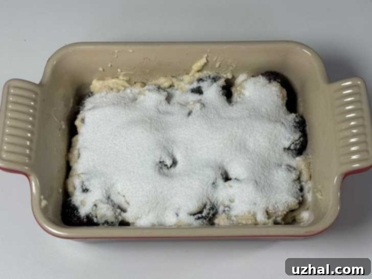 A generous layer of sugar and cornstarch mixture sprinkled over the biscuit dough in a cobbler, waiting for the hot water pour.