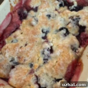 Blackberry Cobbler with a Shiny Top