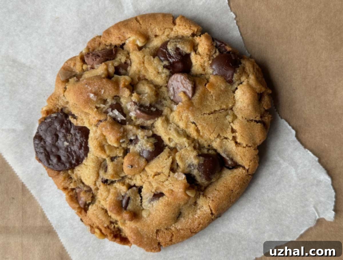 Decadent Chocolate Chunk Cookies enhanced with Costco's Kirkland Mixed Nut Butter With Seeds, featuring a perfectly chewy texture and a sprinkle of sea salt.