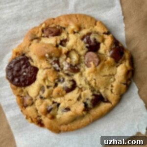 Chocolate Chunk Cookies with Nut Butter or Kirkland Nut Butter with Seeds