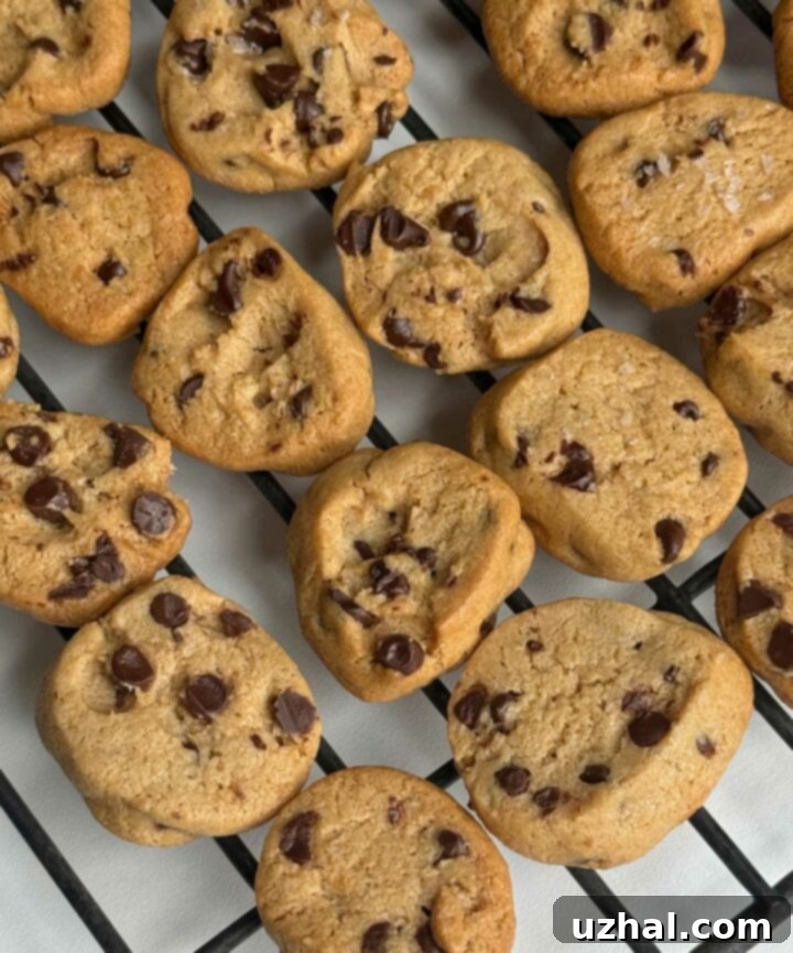 Condensed Milk Chocolate Chip Cookie Minis