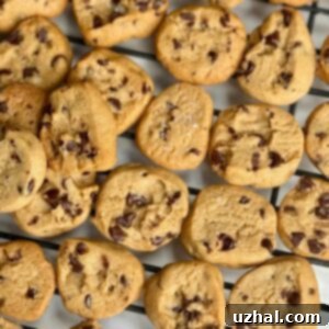 Condensed Milk Chocolate Chip Cookie Minis