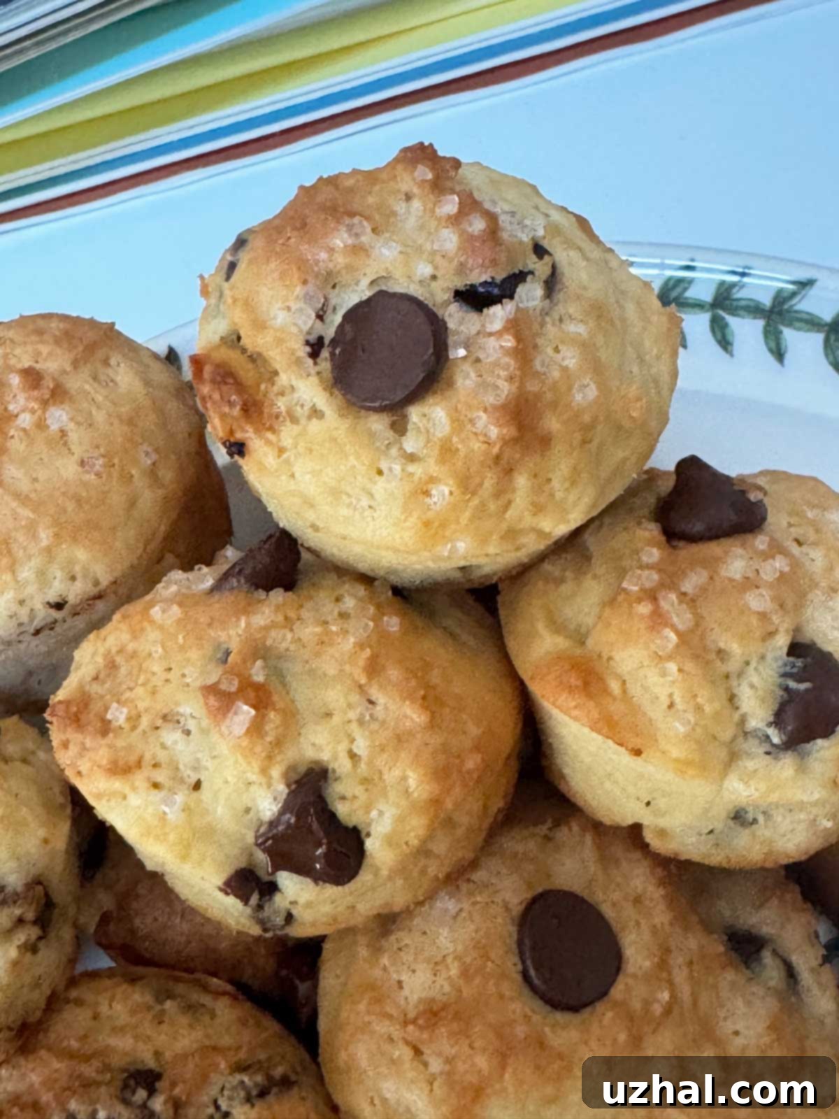 Butterscotch or Chocolate Chip Mini Muffins made with yogurt or sour cream.
