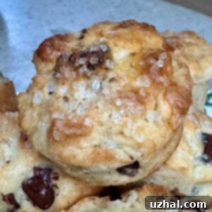 Butterscotch Mini Muffins