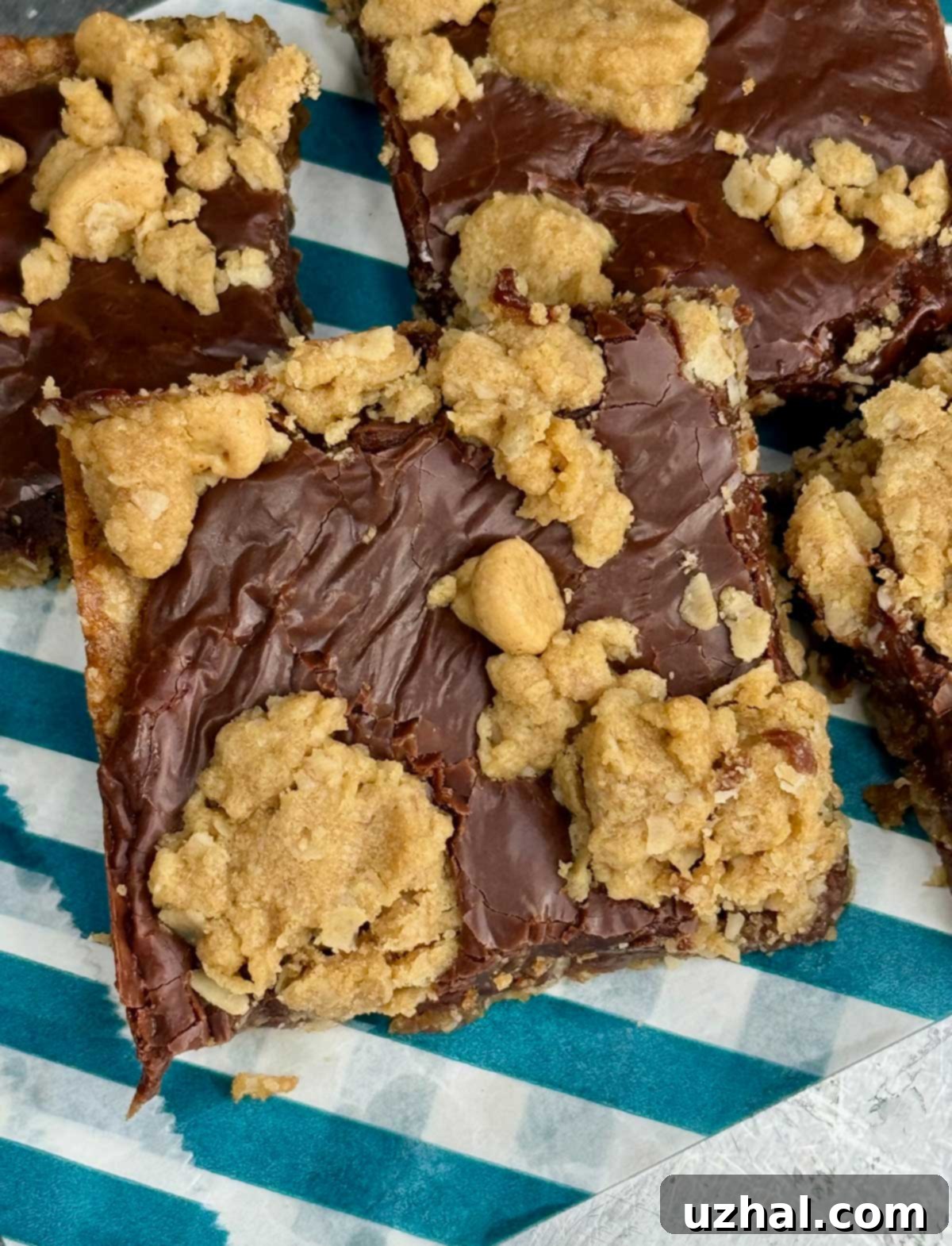 Delicious Peanut Butter Fudge Jumbles recipe baked in a 9-inch square Pampered Chef stoneware pan, showcasing their rich layers.