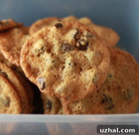 A plate of Malted Chocolate Chip Cookies, ready to be enjoyed.