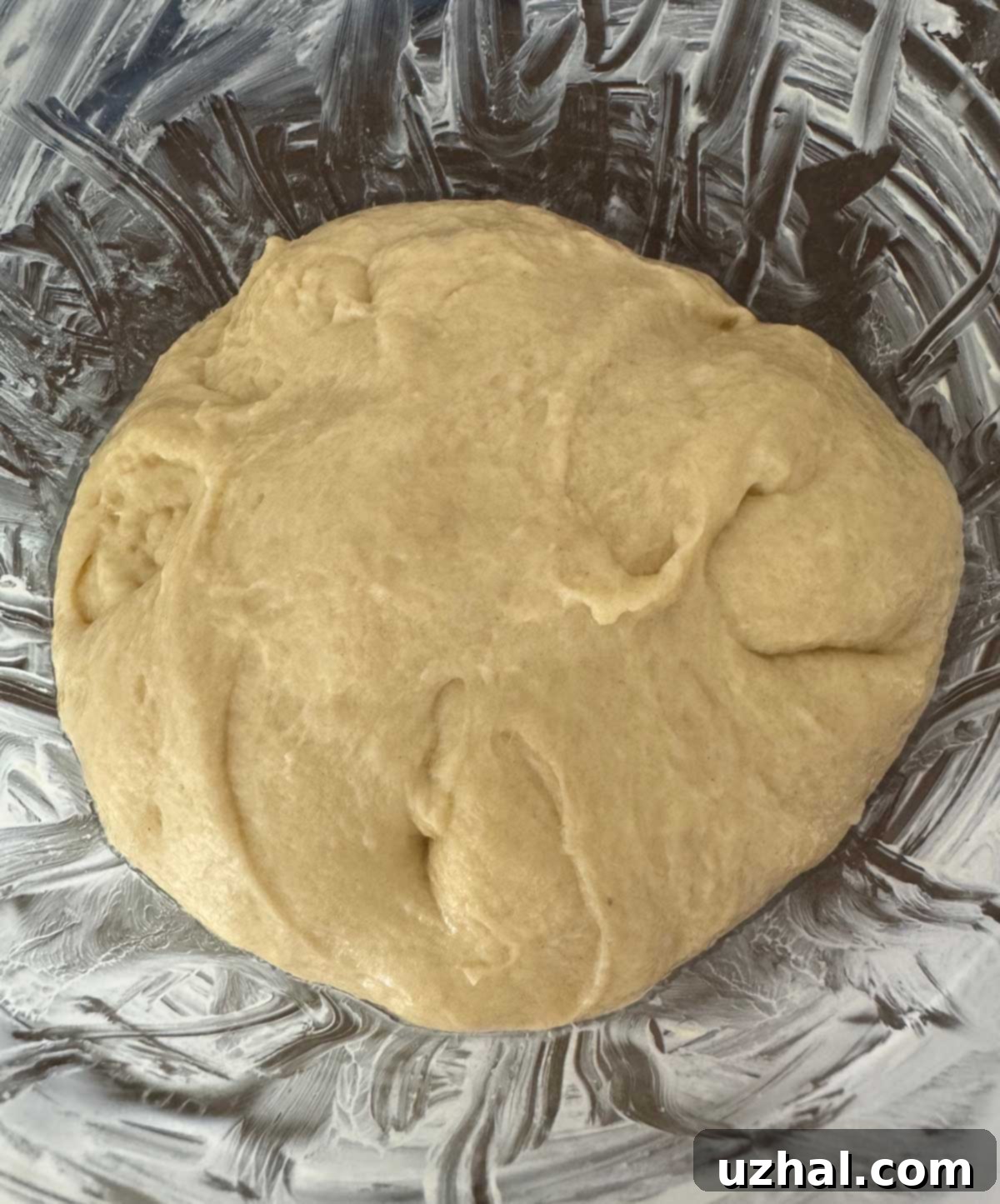 Babka dough actively rising in a bowl, indicating successful yeast activation.