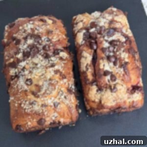 Two homemade babka loaves with fruit preserves and chocolate swirls, cooled and ready to serve.