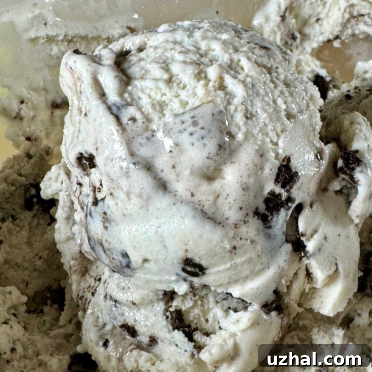 Cookies and Cream Tofu Ice Cream