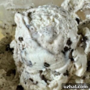Cookies and Cream Tofu Ice Cream