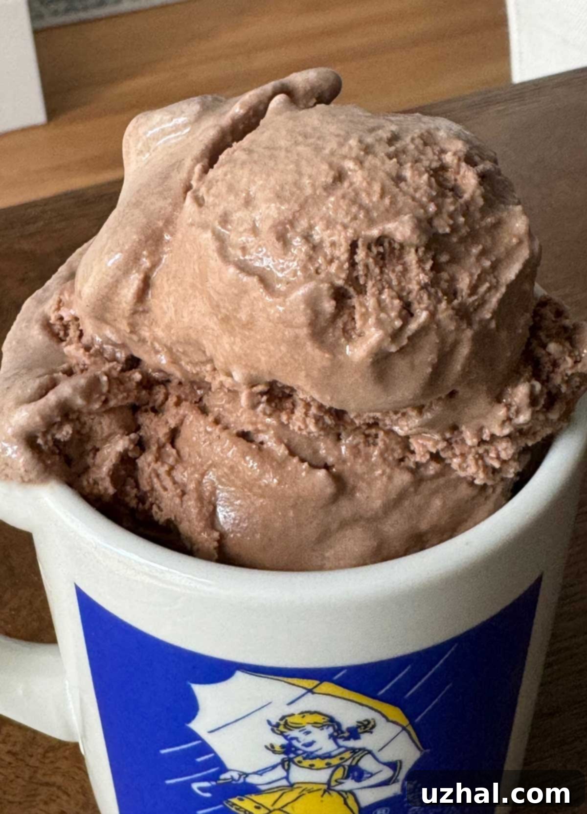 Decadent homemade Light Chocolate Malt Ice Cream in a bowl, ready to be enjoyed.