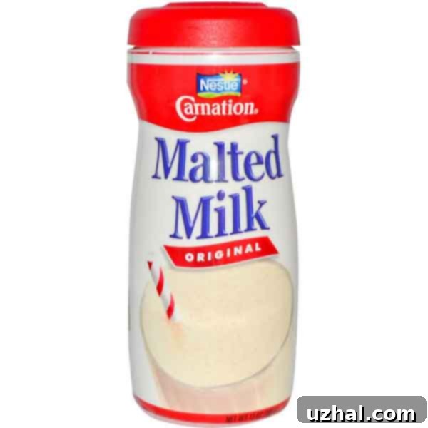 A container of Carnation Malted Milk Powder, a key ingredient for the ice cream.