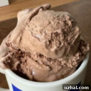 Light Chocolate Ice Cream adapted from the Ben & Jerry's recipe