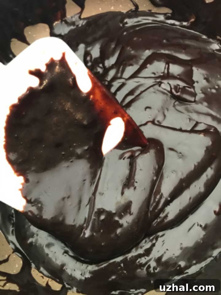 Ice Cream Pie with luscious Hot Fudge Sauce drizzled on top, ready to be served.
