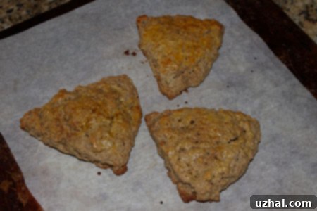 Oatmeal Cinnamon Scones