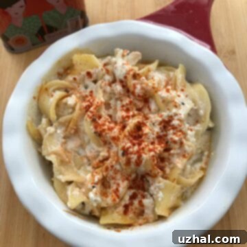 Baked Hungarian Noodles, a creamy and delicious casserole