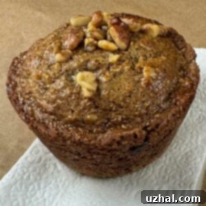 Cottage Cheese Bran Muffin