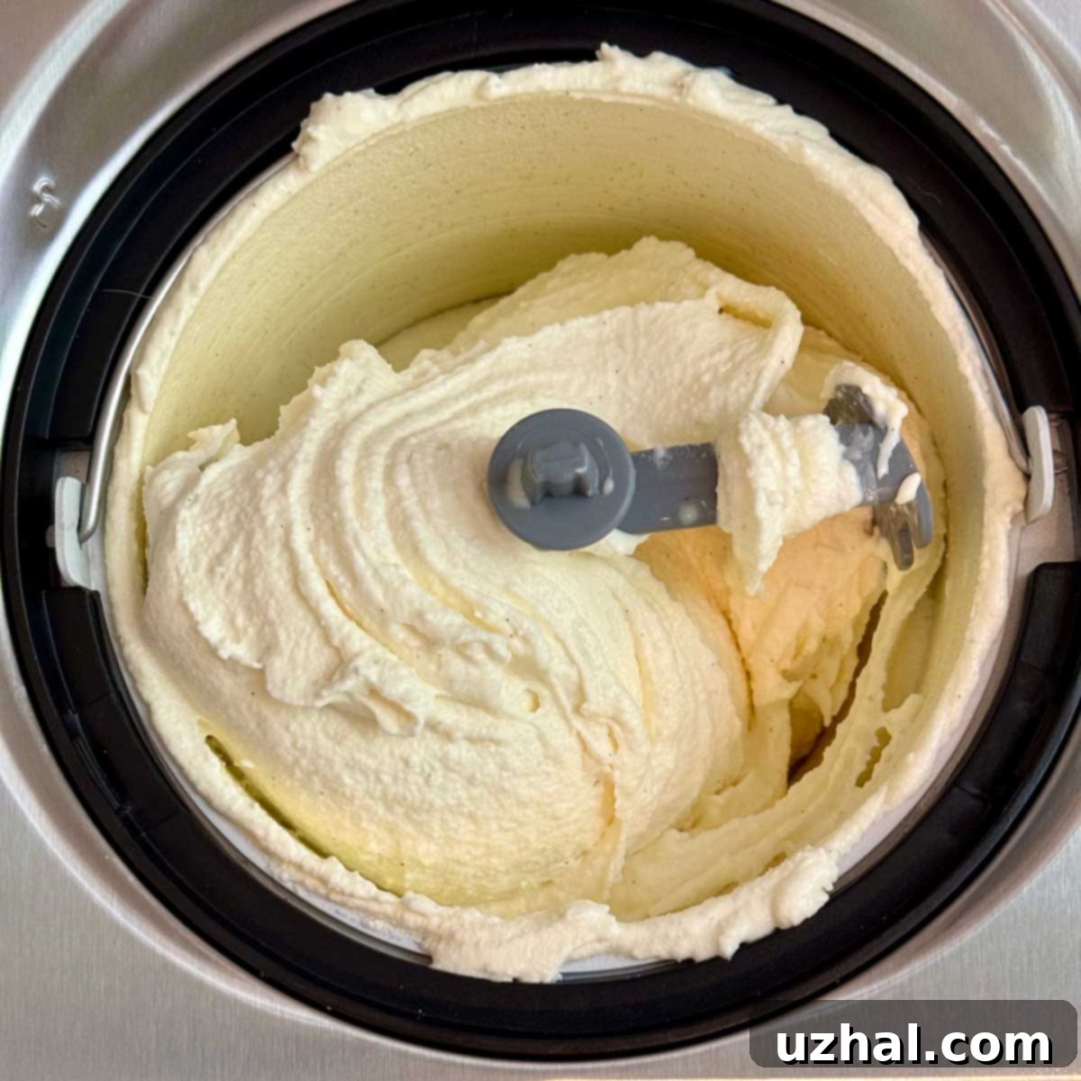 Vanilla Gelato with Vanilla Bean, freshly churned in the Cuisinart ICE-100