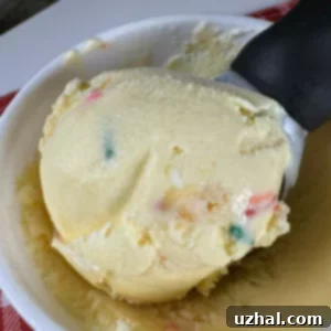 Birthday Cake Ice Cream