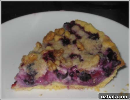 A slice of Blueberry Sour Cream Pie, showcasing the layers of crust, filling, and streusel.