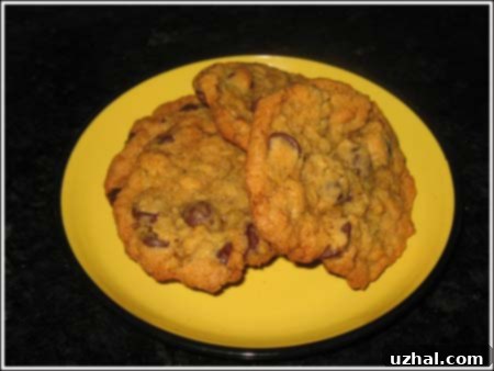 Freshly baked oatmeal chocolate chip cookies on a cooling rack