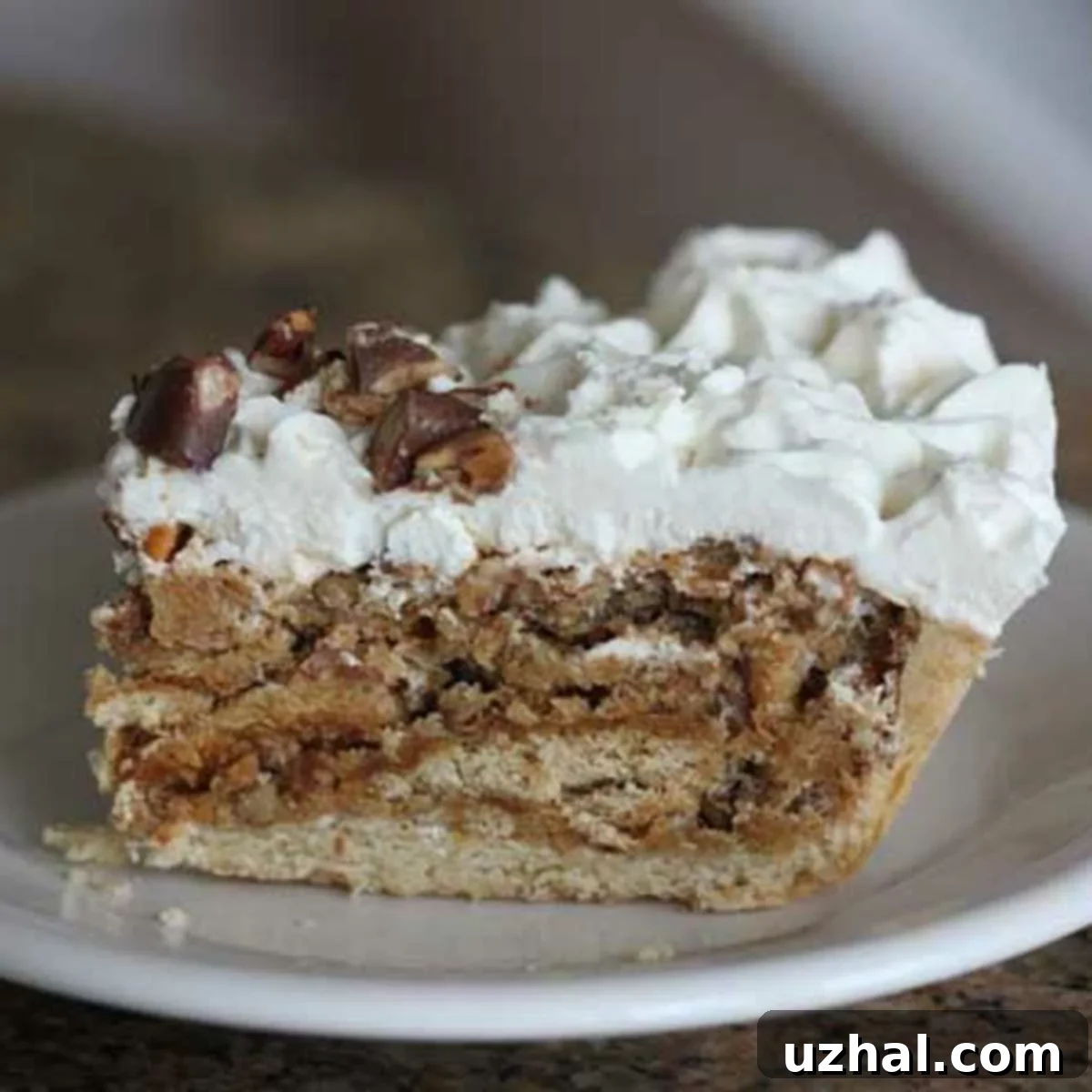Luby's Butternut Brownie Pie