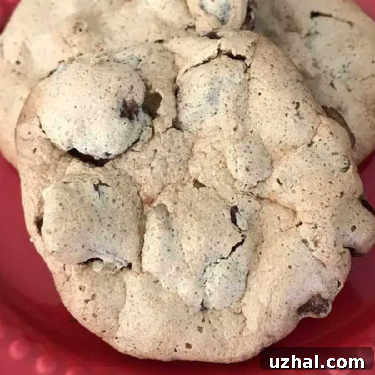 Travis House Cookies
