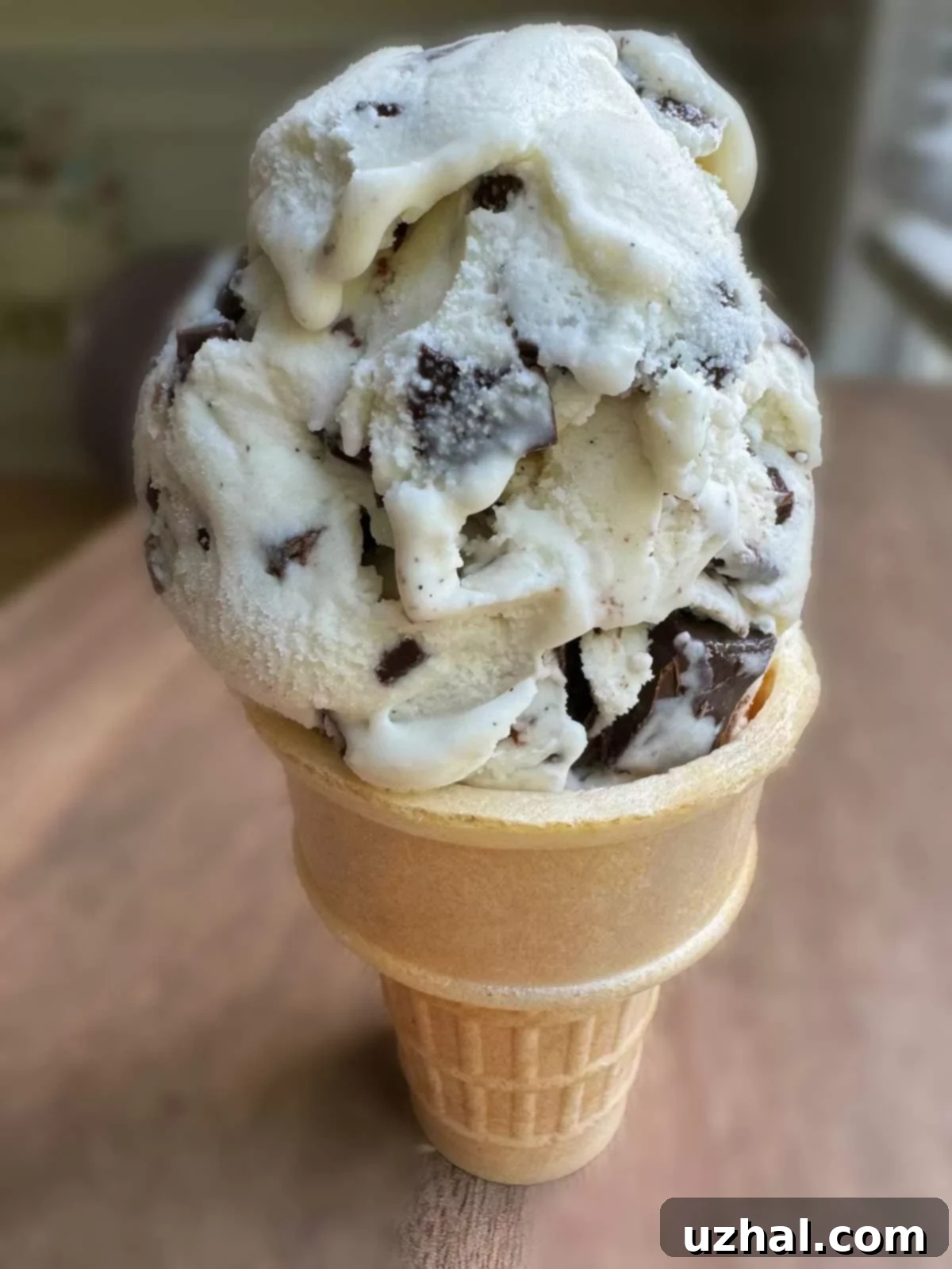 No-Egg Chocolate Chunk Ice Cream made with xanthan gum, offering a creamy, smooth texture similar to Baskin Robbins.
