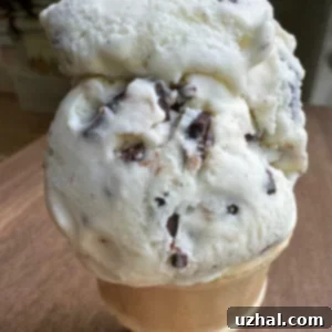 Baskin Robbins Chocolate Chip Ice Cream Copycat - homemade, egg-free, and irresistibly creamy.