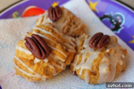 Delicious Maple Iced Pumpkin Cookies, ready for baking.