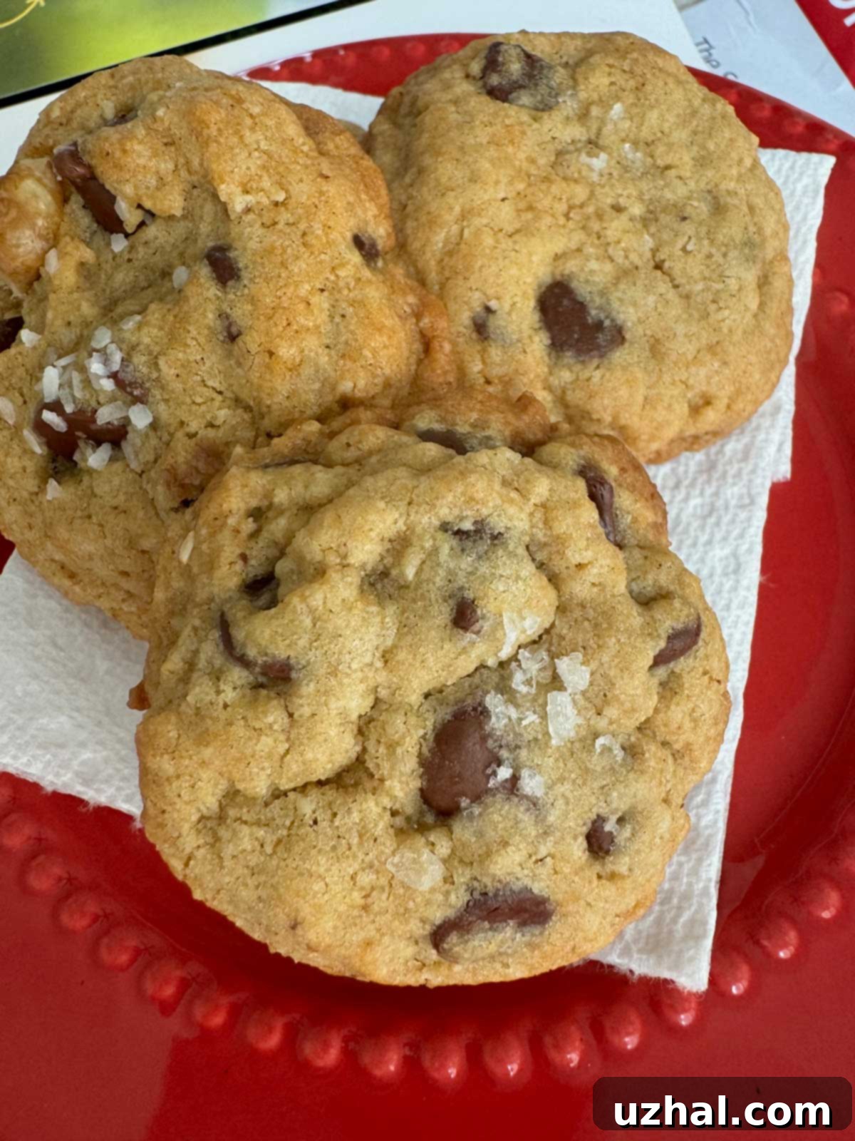 A plate of golden brown, blue ribbon winning chocolate chip cookies from the Minnesota State Fair, with some chocolate chips visible.