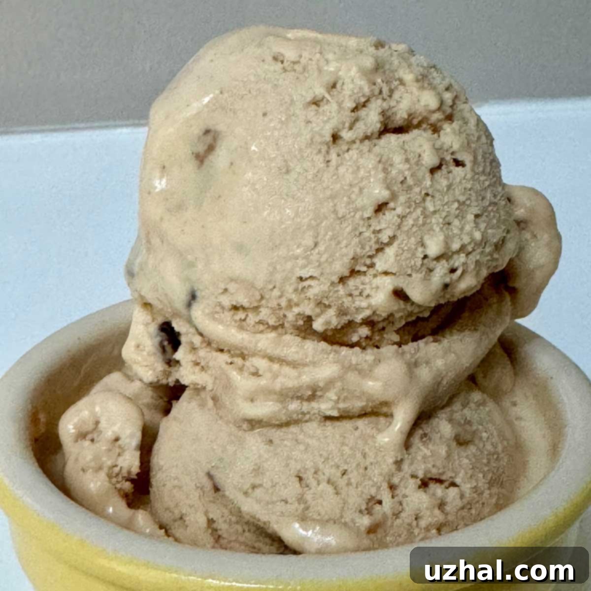 Peanut Butter Ice Cream