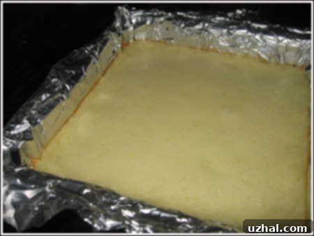 Close-up of butter crunch lemon cottage cheese bars