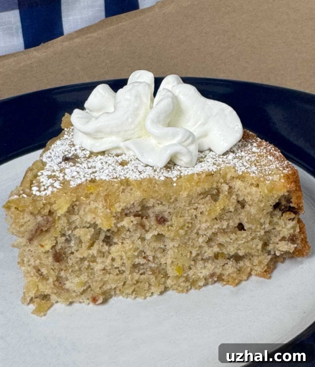 Rustic Buckwheat Apple Olive Oil Cake 3 Slice of buckwheat apple olive oil cake on a plate.