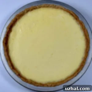 Ricotta Sour Cream Pie