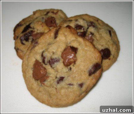Close-up of Ground Oats Chocolate Chip Cookies, showcasing their rich texture