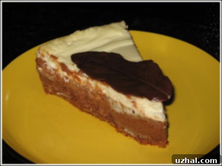 chocolate velvet cheesecake sliced.jpg
