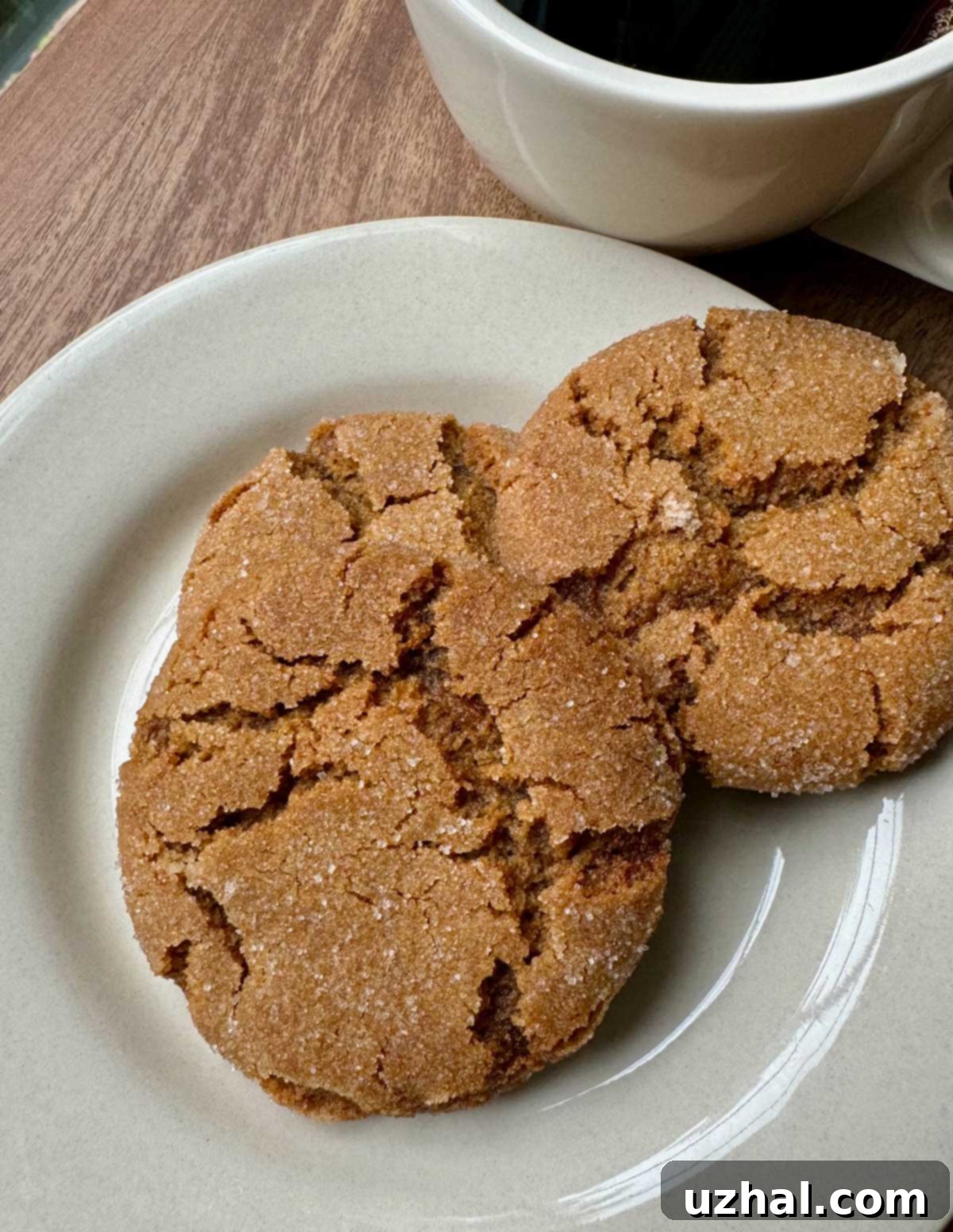 Disney Parks Molasses Crackle Cookies