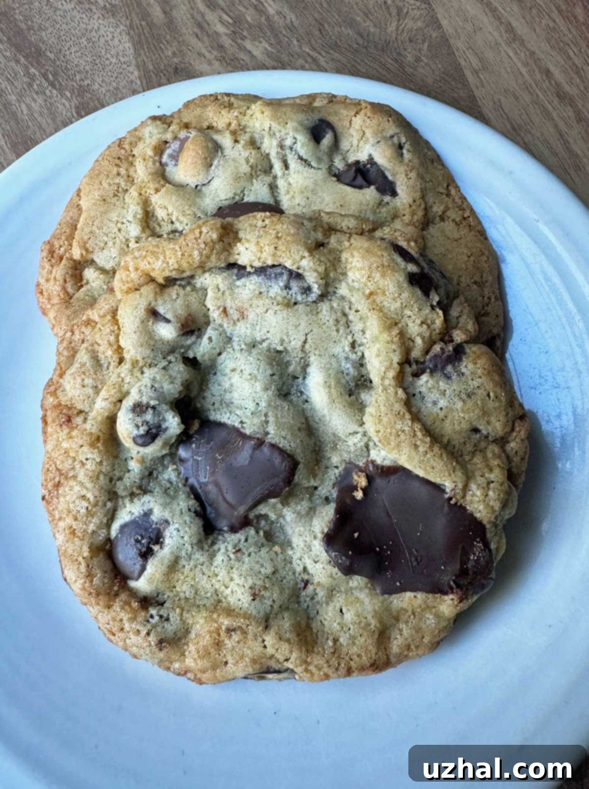 Irresistible Buckwheat Chocolate Chunk Cookies with a delicate crumb