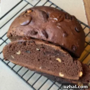 Cottage Cheese Chocolate Bread