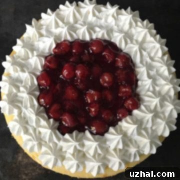 Brownie Cheesecake